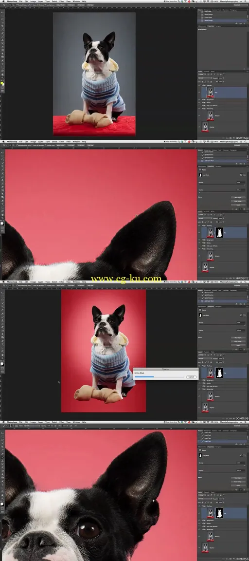 SkillFeed – Photoshop Retouching – The Dog的图片1