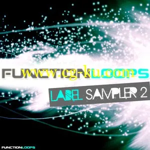 Function Loops Function Loops Label Sampler 2 (WAV-MiDi)的图片1