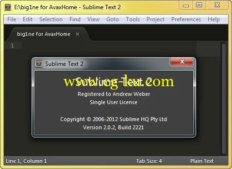 Sublime Text 2.0.2 Build 2221 Final + Portable 代码编辑器的图片1