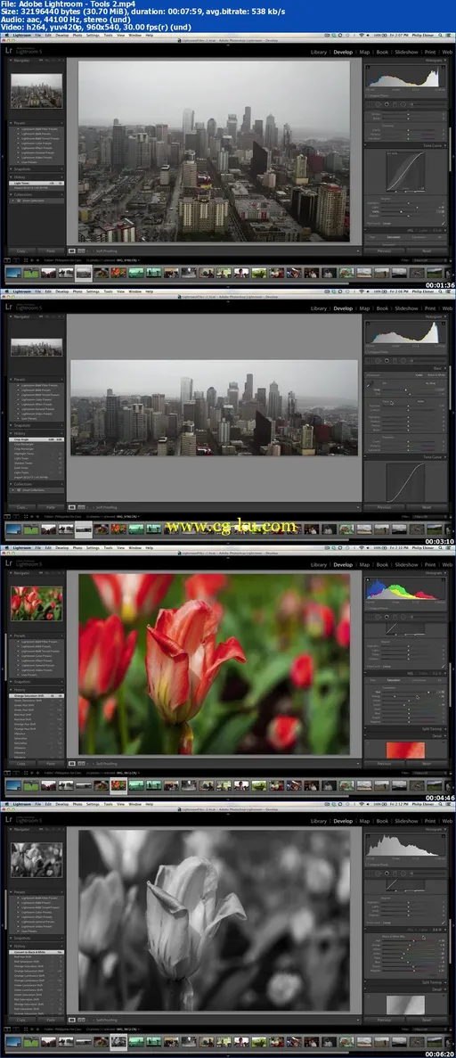 SkillFeed – Adobe Lightroom – Tools Overview的图片1