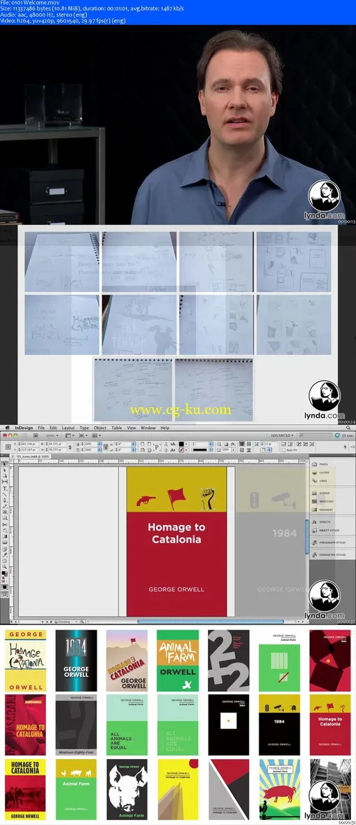 Lynda Hands-On Workshop Series (8 Collections)的图片2