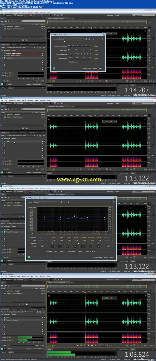 Peachpit Press – Introduction to Adobe Audition CS6的图片1