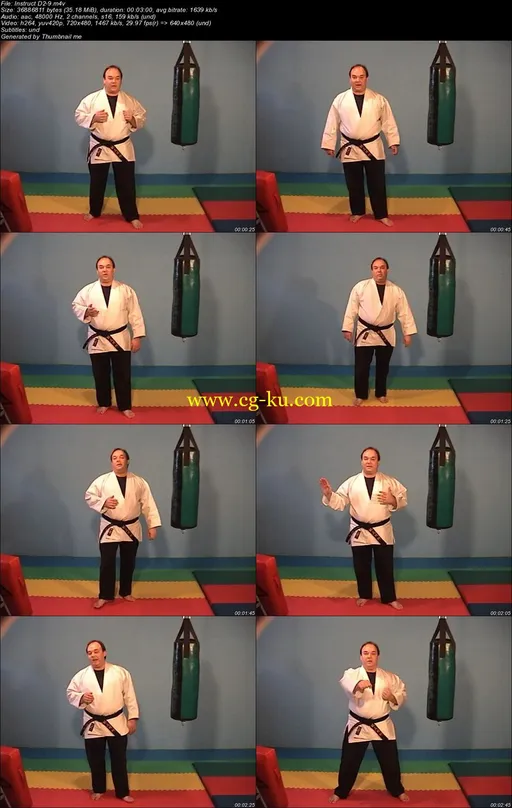 AKLA Kenpo Karate Instructor Course的图片2