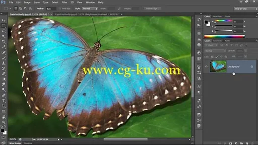 Lynda – Photoshop CC One-on-One: Fundamentals (Updated Sep 17, 2014)的图片1