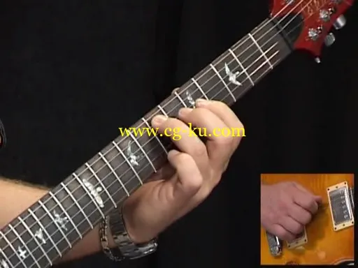 Lick Library – Learn To Play Your Own Blues Solos的图片3