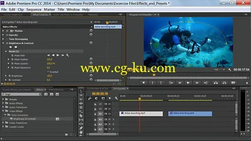 Lynda – Premiere Pro Guru: Effects and Preset Management的图片1