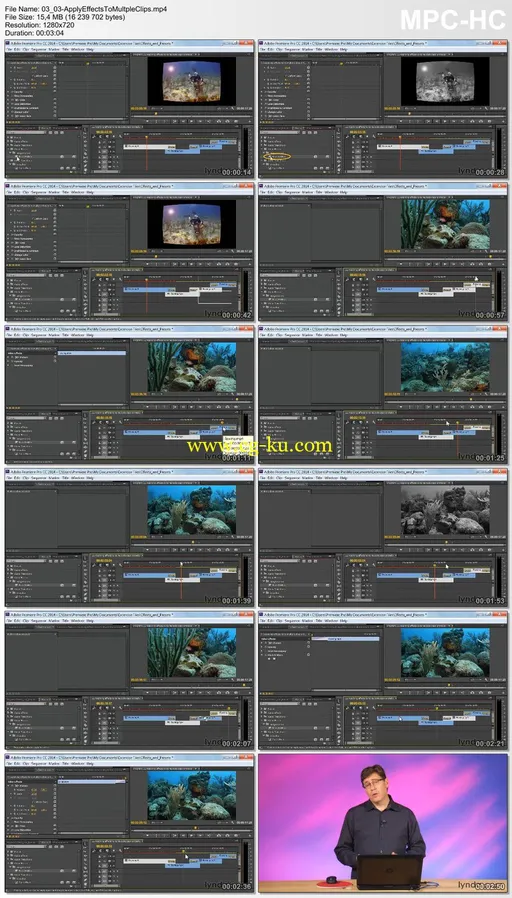 Lynda – Premiere Pro Guru: Effects and Preset Management的图片2