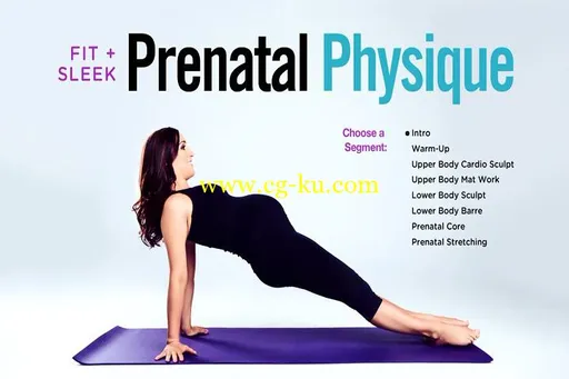 Leah Sarago: Fit + Sleek Prenatal Physique (2014)的图片2