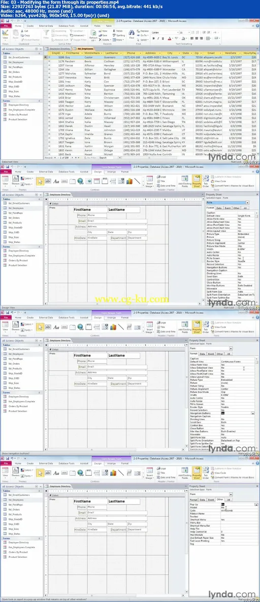 Lynda – Access 2010 Forms and Reports in Depth with Adam Wilbert的图片1