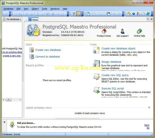 PostgreSQL Maestro Professional 13.7.0.1 数据库管理/控制/开发的图片2