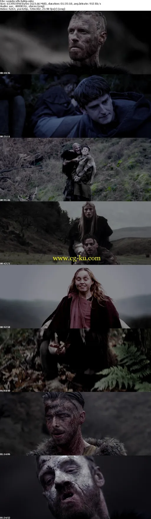 Viking.The.Berserkers.2014.1080p.BluRay.x264-SONiDO的图片1