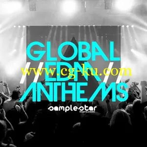 Samplestar Global EDM Anthems [WAV/MiDi/Sylenth]的图片1