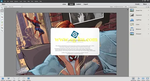 Adobe Photoshop Elements 13.0 Multilingual的图片2