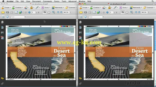 InDesign CS5: Print Production Guidelines的图片2