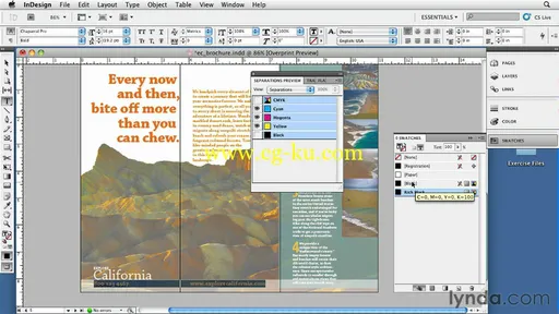 InDesign CS5: Print Production Guidelines的图片3