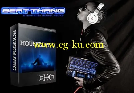 BeatKangz Beat Thang Expansions Sound Pack Housematic (WAV)的图片1