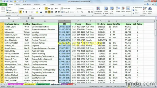 Excel 2010: Advanced Formatting Techniques的图片3