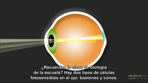 Video2Brain – Fundamentos de la fotografía: Exposición的图片3