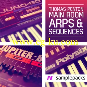 RV Samples Thomas Penton Main Room Arps Sequences [WAV/MiDi]的图片1