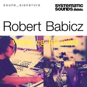 Systematic Sounds Robert Babicz Sound Signature MULTiFORMAT的图片1