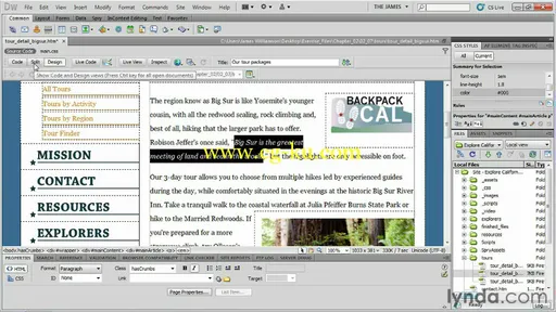 Dreamweaver CS5 Essential Training的图片4