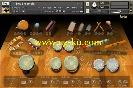 Indigіnus Brio Latin Percussion Ensemble KONTAKT的图片1