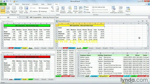 Excel 2010: Managing Multiple Worksheets and Workbooks的图片3