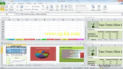 Excel 2010: Managing Multiple Worksheets and Workbooks的图片4