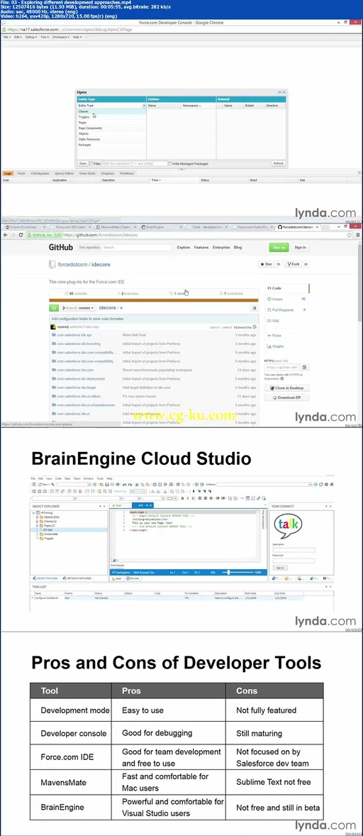 Lynda – Developing with Visualforce的图片2