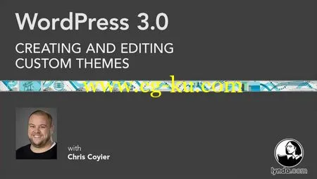 WordPress 3.0: Creating and Editing Custom Themes的图片1