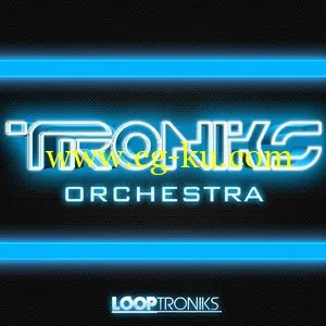 Looptroniks Troniks Orchestra (WAV-MiDi)的图片1