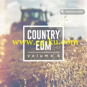 Producer Loops Country EDM Vol 4 – 5 ACiD WAV MiDi REX的图片1