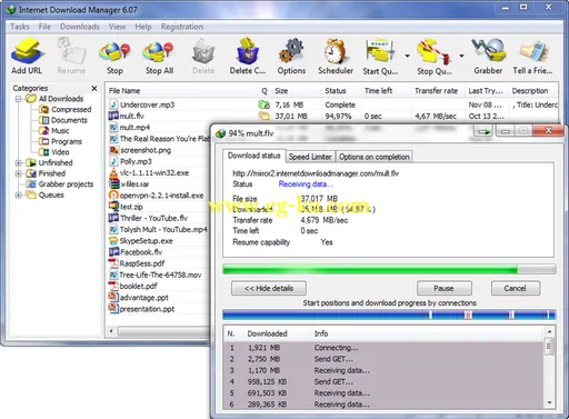 Internet Download Manager 6.17 Build 2 Final 下载工具的图片2