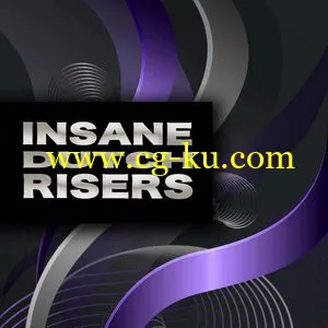 Pulsed Records Insane Dutch Risers WAV的图片1