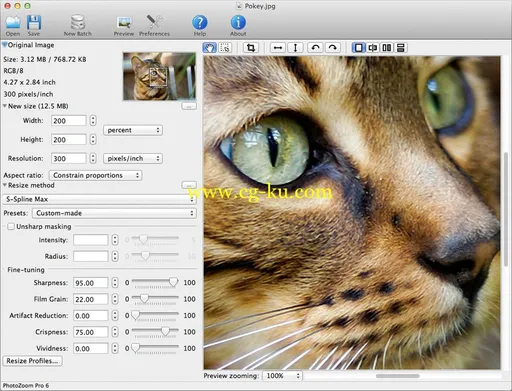 BenVista PhotoZoom Pro 6.0.8 Multilingual MacOSX的图片2