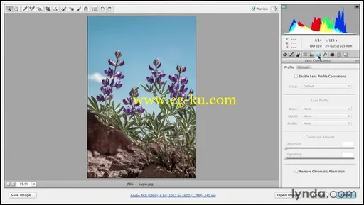 Lynda – Photoshop CS6 Essential Training with Julieanne Kost的图片1