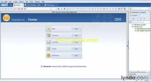 Lynda – Up and Running with Lotus Notes的图片1