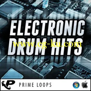 Prime Loops Electronic Drum Hits MULTiFORMAT的图片1