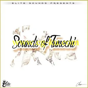 Elite Sounds Sounds Of Tunechi [WAV/MiDi]的图片1