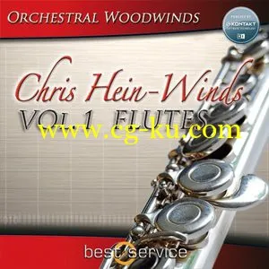 Best Service Chris Hein Winds Vol.1 Flutes KONTAKT的图片1