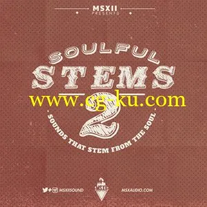 MSXII Sound Design Soulful Stems 2 WAV的图片1