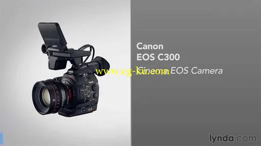 Video Gear Weekly – Is the Canon C300 Right for Me? (Oct 31, 2014)的图片1