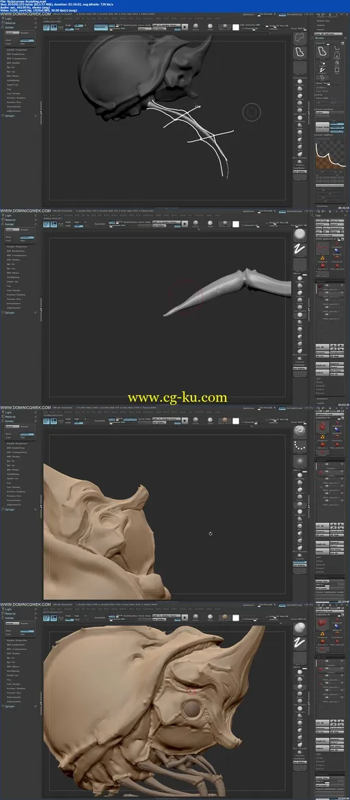 Gumroad – Sculpting Package 1 by Dominic Qwek的图片1