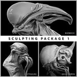 Gumroad – Sculpting Package 1 by Dominic Qwek的图片2