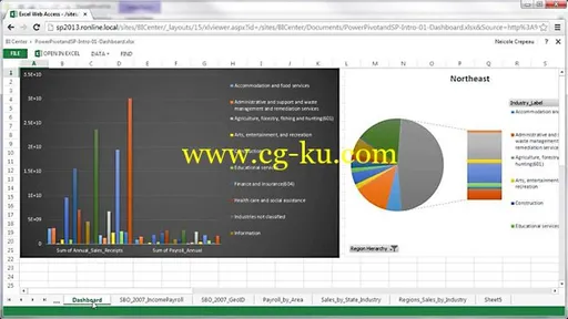 Lynda – Up and Running with Power Pivot and SharePoint 2013的图片1