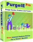 PurgeIE Pro 5.02 Build 5.2.0.387的图片1