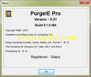 PurgeIE Pro 5.02 Build 5.2.0.387的图片2