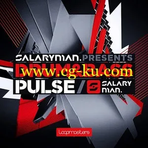 Loopmasters Salaryman Drum and Bass Pulse MULTiFORMAT的图片1