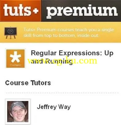 Tuts+ Premium – Regular Expressions: Up and Running的图片2