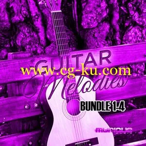 Munique Music Guitar Melodies Bundle Vols 1-4 WAV的图片1